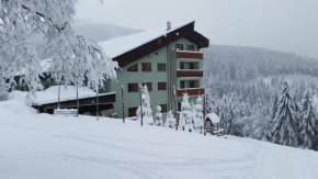 Cihlarka 209 Mountain apartment Trutnov